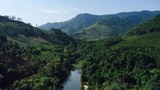 ປະເທດລາວປ່າໄມ້ ຈະປົກຫຸ້ມ 70% ປີ 2025