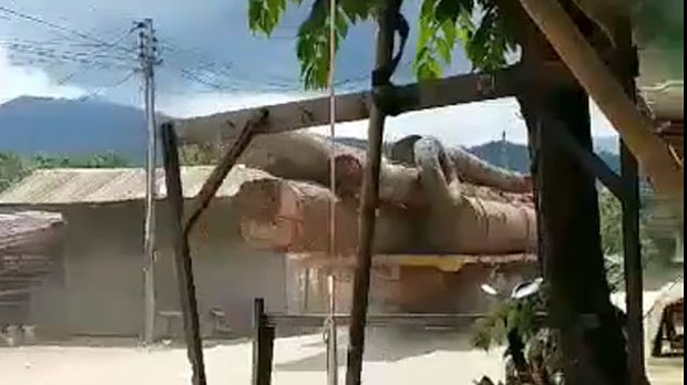 f-logs f-logs