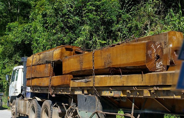 F-logging F-logging