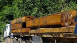F-logging