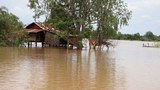 F-Flood