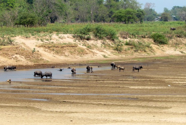 f-mekong