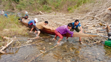 ບັນຫາການປົກປ້ອງສັດປ່າ ໃນເຂດອຸທະຍານ ແຫ່ງຊາຕ ນ້ຳແອດ-ພູເລີຍ