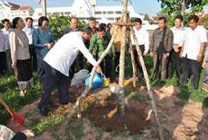 F-reforestation F-reforestation