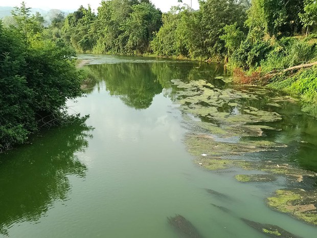 ນໍ້າບາກກາຍເປັນສີຂຽວ ມ.ໄຊ ຂ.ອຸດົມໄຊ