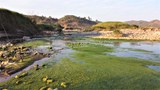 ໄຄຫິນ ໃນແມ່ນ້ຳຂອງ ສ້າງຄວາມເສັຽຫາຍ ຕໍ່ລະບົບນິເວດ