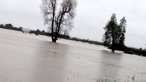 f-flood