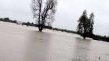 f-flood