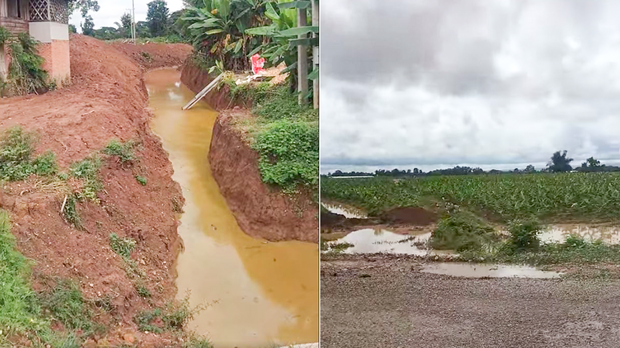 ສສຊ ສເນີກວດກາສວນກ້ວຍຈີນ ທີ່ປ່ອຍນ້ຳປົນເປື້ອນ ສູ່ທັມມະຊາຕ