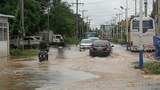 f-flood-vt