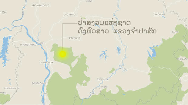 ຊາວບ້ານ ບຸກລຸກ ປ່າສງວນແຫ່ງຊາດ ດົງຫົວສາວ ເພື່ອປູກມັນຕົ້ນ