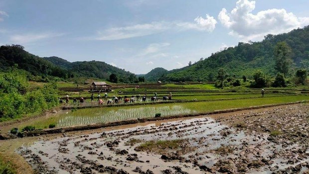 ຊາວບ້ານ ປະຕິເສດ ບໍຣິສັດຈີນ ເຊົ່າດິນ ປູກໝາກໂມ