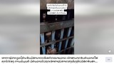 ຍ້ອນທຸກຍາກ ຈຶ່ງມີຊາວບ້ານ ໄປລັກຂຸດຄຳ ໃນເຂດສຳປະທານ