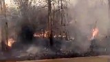 F-Fire