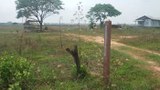 F-thatluang