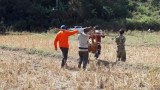 ງົວ, ຄວາຍ ເກືອບ 100 ໂຕ ຢູ່ແຂວງຈໍາປາສັກ ຕາຍແບບໍ່ຮູ້ສາເຫດ