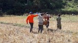 ພຍາດ ເຕົ້າໂຮມເລືອດ ຣະບາດ ເຮັດໃຫ້ງົວຕາຍ