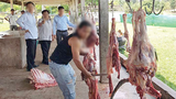 F-ANIMAL-KILL-FACTORY