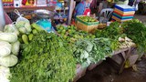 F-VEGETABLES