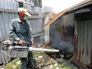 F-dengue