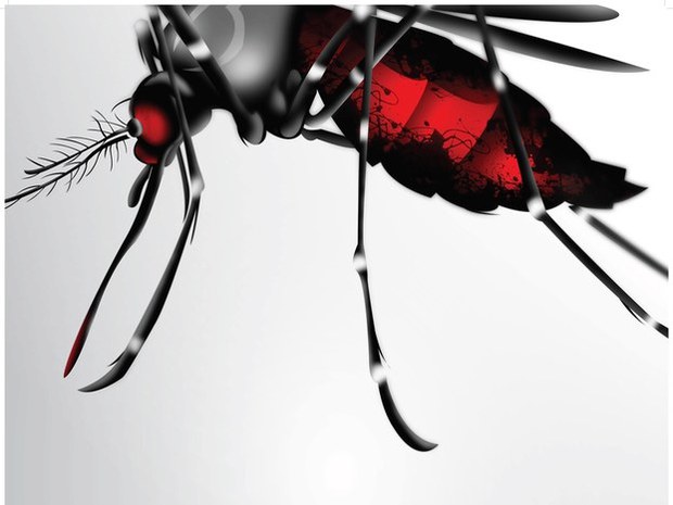 F-mosquito F-mosquito