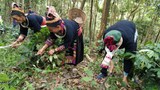 ສູນໃຫ້ຄໍາປຶກສາ ແກ່ຜູ້ຖືກ ຄ້າມະນຸສ