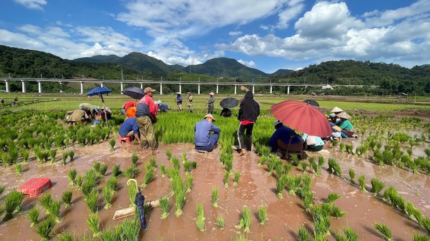 ຄົນງານລາວ ນອກລະບົບ ຍັງຂາດສິດທິ ທາງປະກັນສັງຄົມ ຄົນງານລາວ ນອກລະບົບ ຍັງຂາດສິດທິ ທາງປະກັນສັງຄົມ