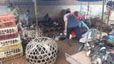 ຢາປ້ອງກັນພະຍາດ ສັດລ້ຽງ ບາງປະເພດ ຂຶ້ນ 2-3 ເທົ່າ, ທາງການແຈ້ງ