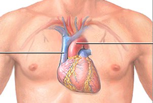 f-heart