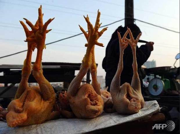 f-chicken