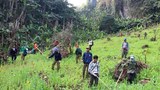 ຊາວບ້ານ ລັກປູກຝິ່ນໃນເຂດຫ່າງໄກ ເພື່ອສົ່ງຂາຍໃຫ້ນາຍທຶນ ຕ່າງປະເທດ