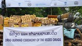 F-UNODC