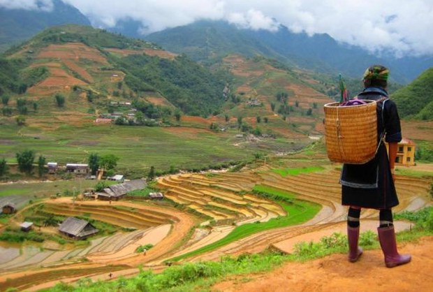 F-Hmong