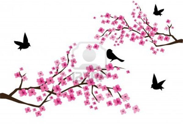 f-blossom f-blossom