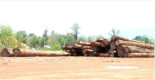 F-logs