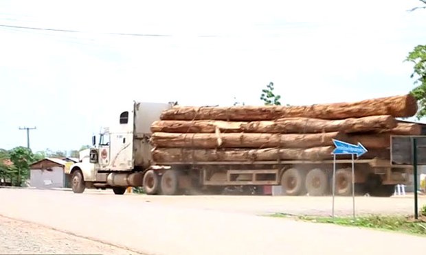 F-Logs