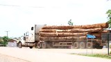 F-Logs