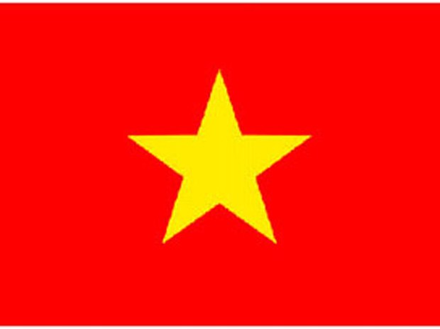 F-VN-flag