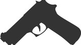 F-Gun