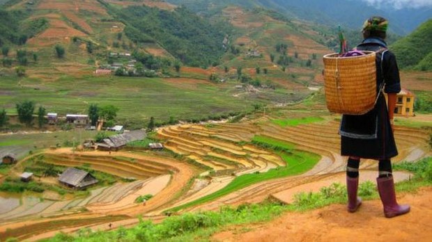 F-Hmong
