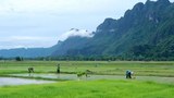 F-Laos