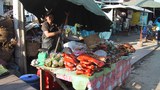 F-Chinese-Laos