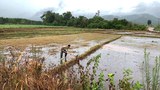 F-Laos