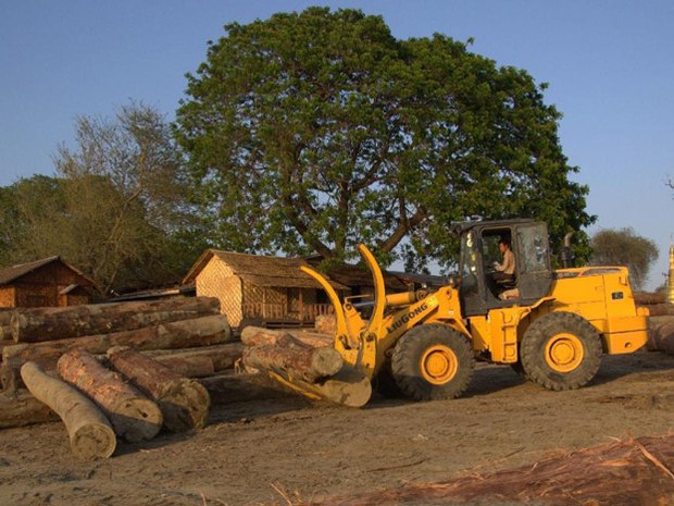 F-M-logging