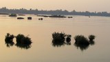 f-mekong