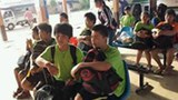 F-korean