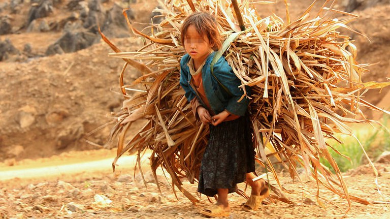 CHILD-WORKING.jpg
