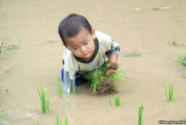 F-boy-farmer