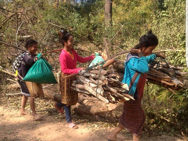 ຫຼາຍແຂວງ ສລອງ ວັນປະຊາກອນ ໂລກ ຫຼາຍແຂວງ ສລອງ ວັນປະຊາກອນ ໂລກ