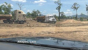 F-logging-Attapeu